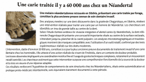 les dents et la prehistoire Cabinet dentaire gualtieri
